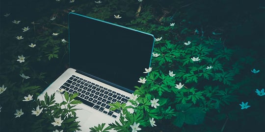 Sustainable website: How to make your website greener